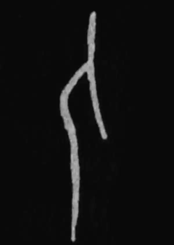 殷墟甲骨文·人