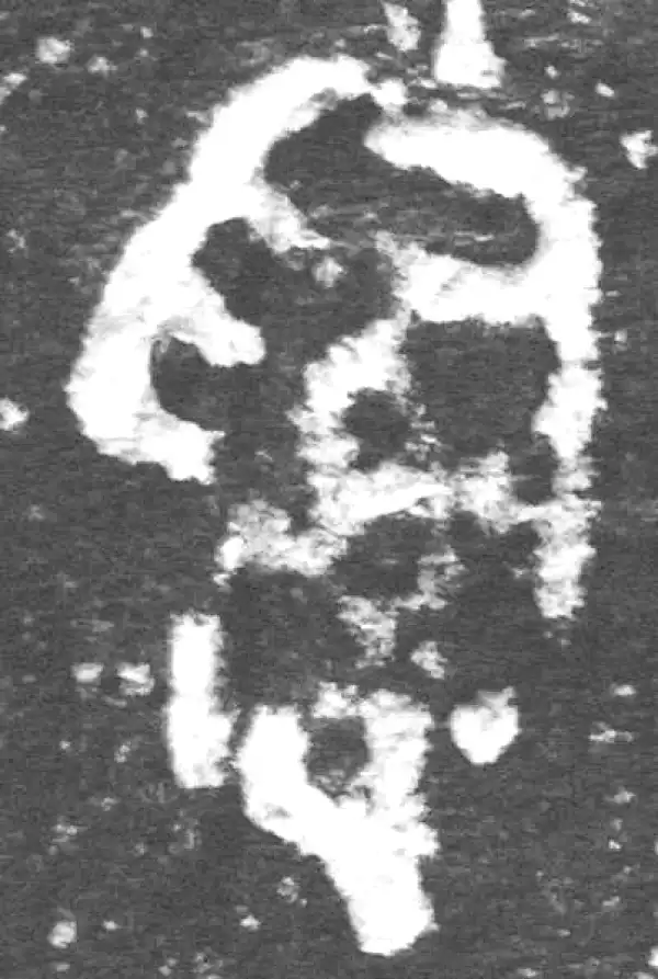 金文·九年卫鼎·司