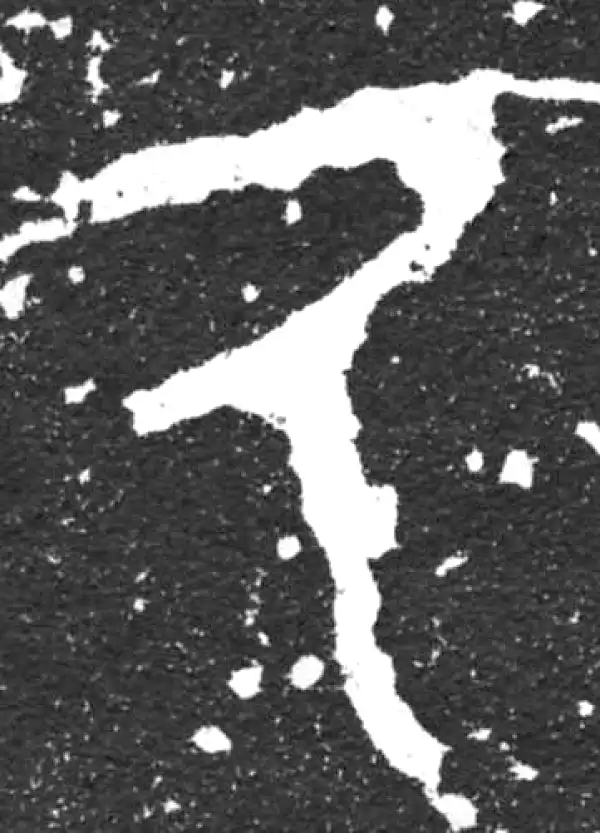 金文·毛公鼎铭文·厥