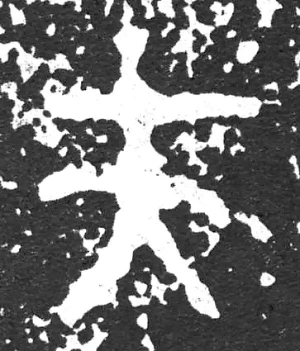 金文·散氏盘铭文·夫