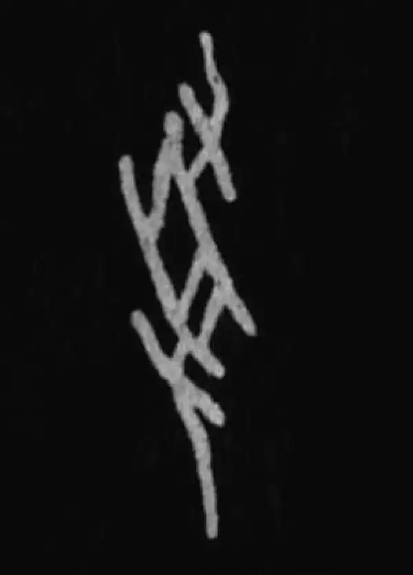 殷墟甲骨文·受