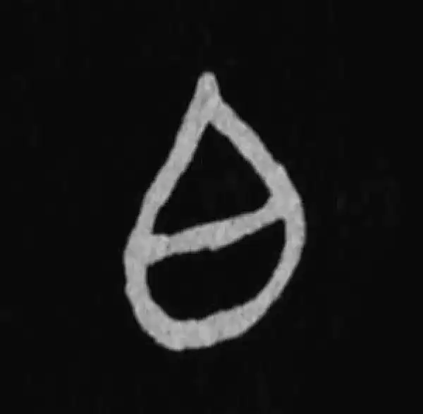 殷墟甲骨文·白