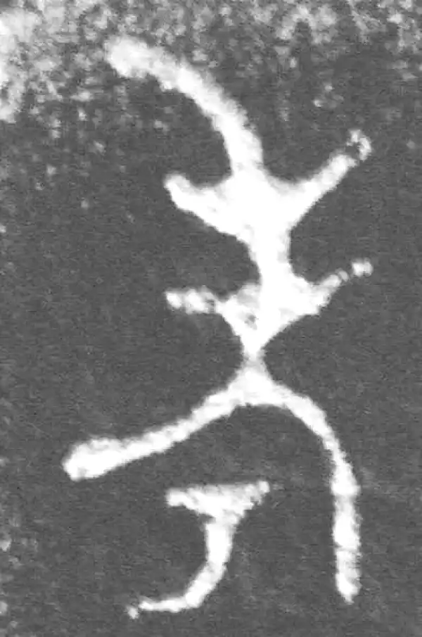 金文·裘卫簋·考