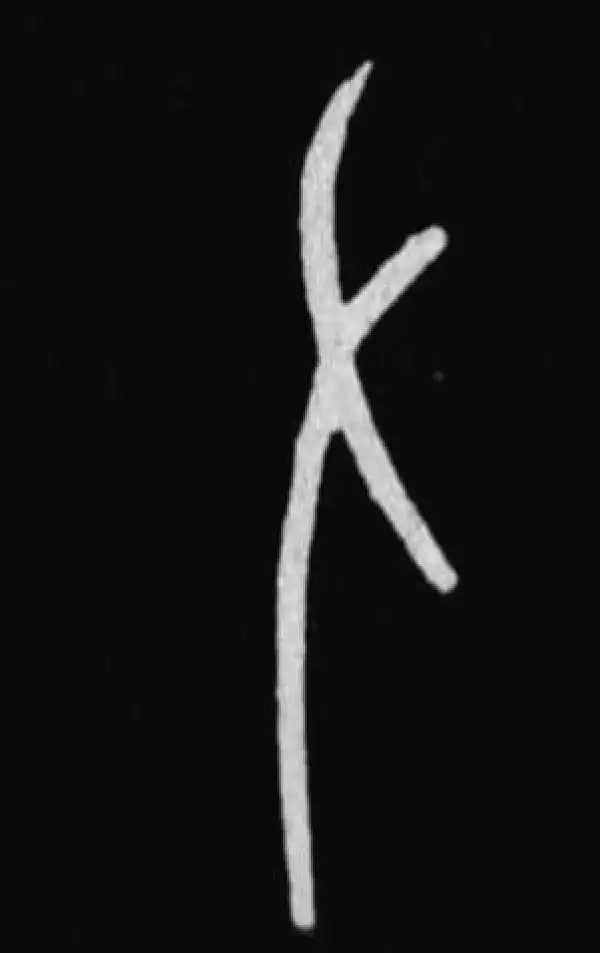 殷墟甲骨文·左