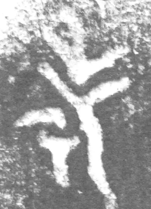 金文·九年卫鼎·考