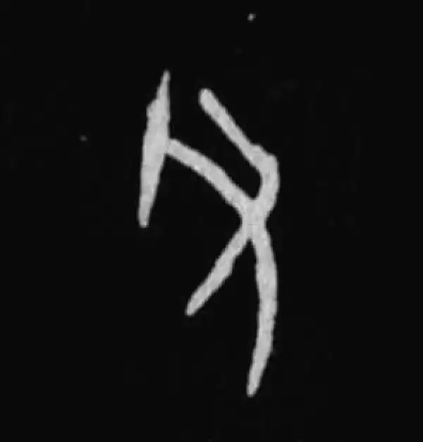 殷墟甲骨文·父