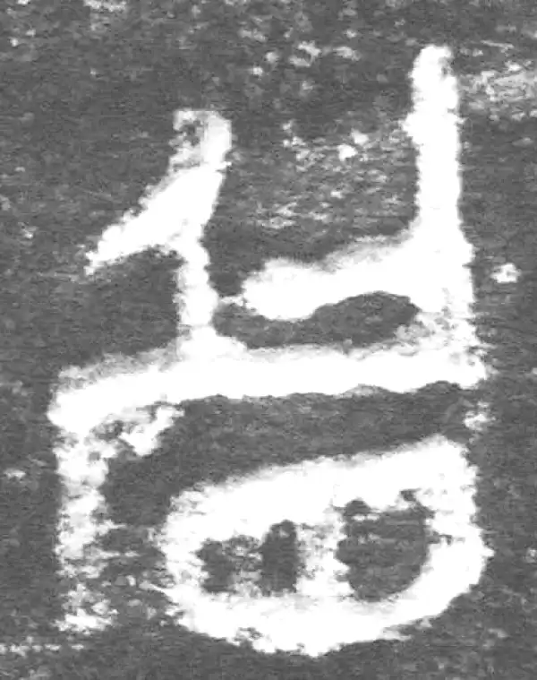 金文·九年卫鼎·眉