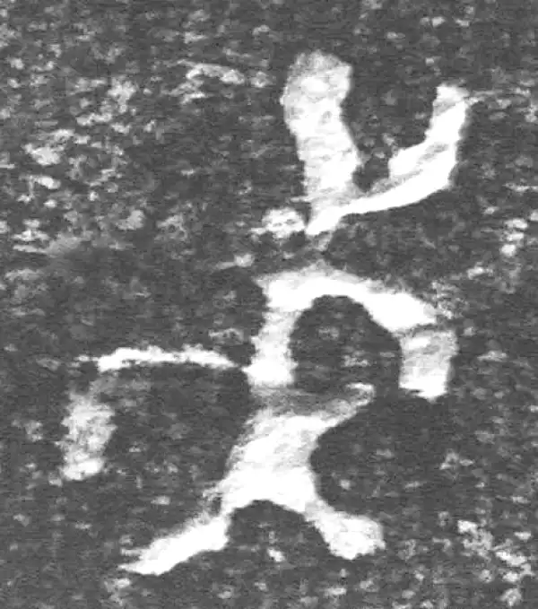 金文·四十二年逑鼎乙·戎
