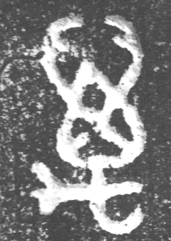 金文·裘卫盉·万