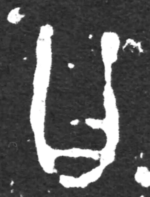 金文·虢季子白盘铭文·曰