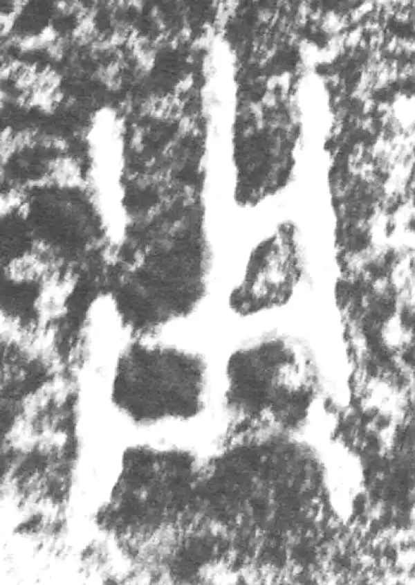 金文·仲南父壶·用