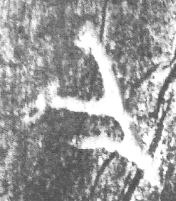 金文·朕匜器·今