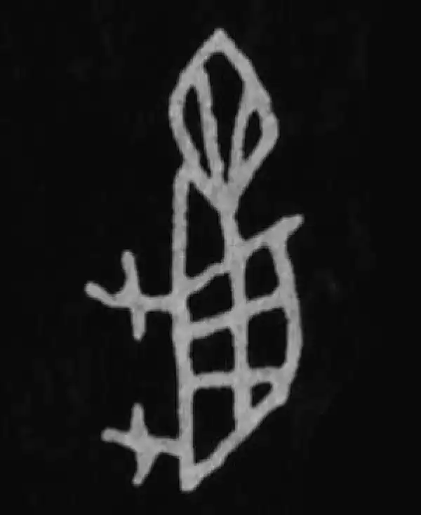 殷墟甲骨文·龜