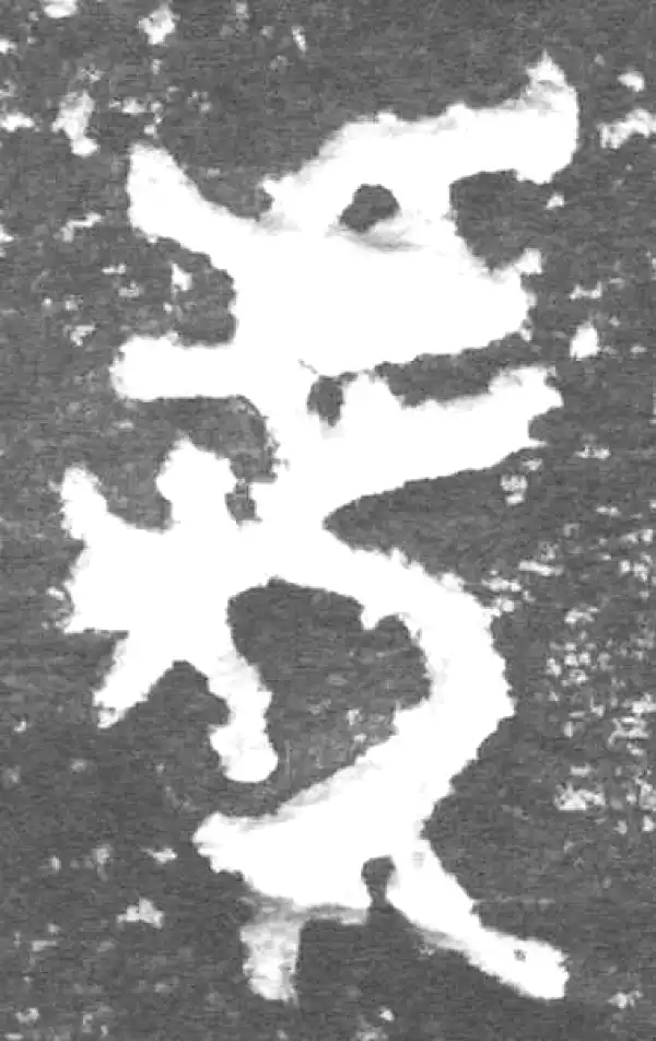 金文·九年卫鼎·虎