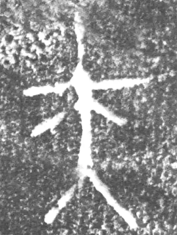 金文·旅伯鼎·夫