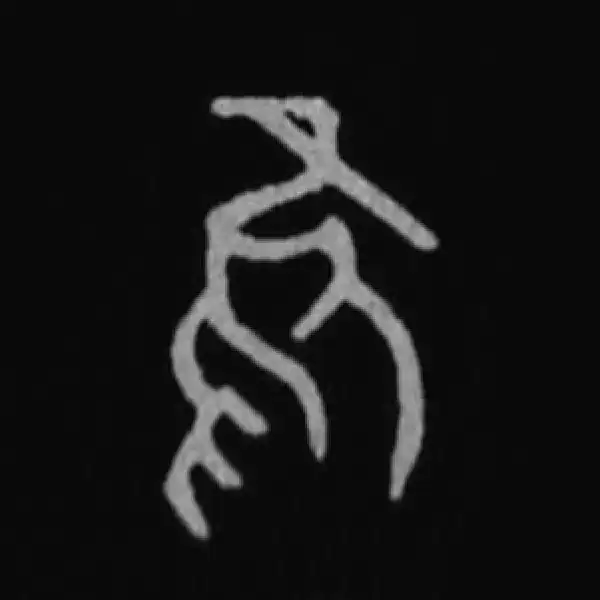 殷墟甲骨文·隹