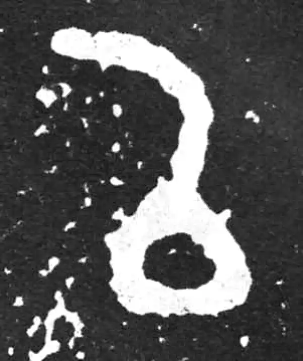 金文·散氏盘铭文·以