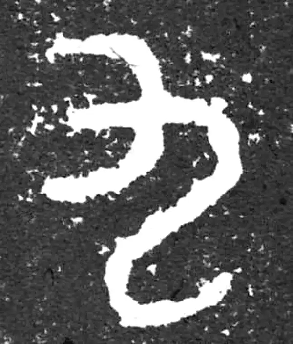 金文·大盂鼎铭文·九