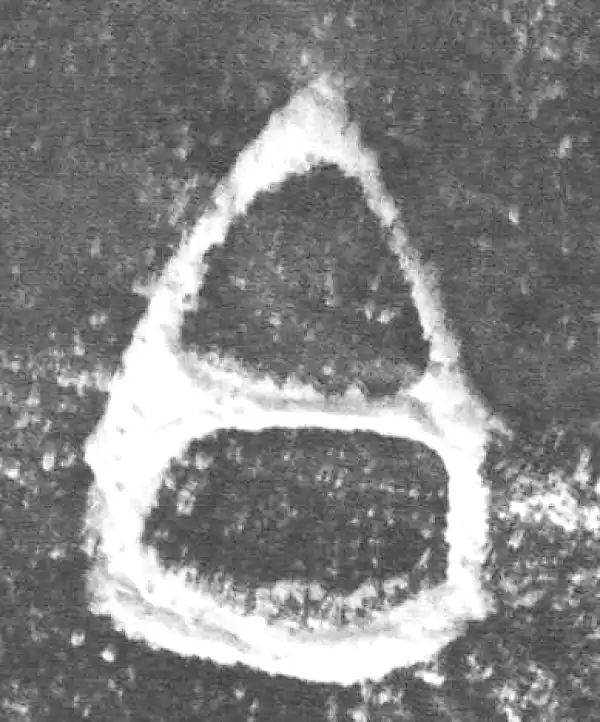 金文·伯好父簋盖·白