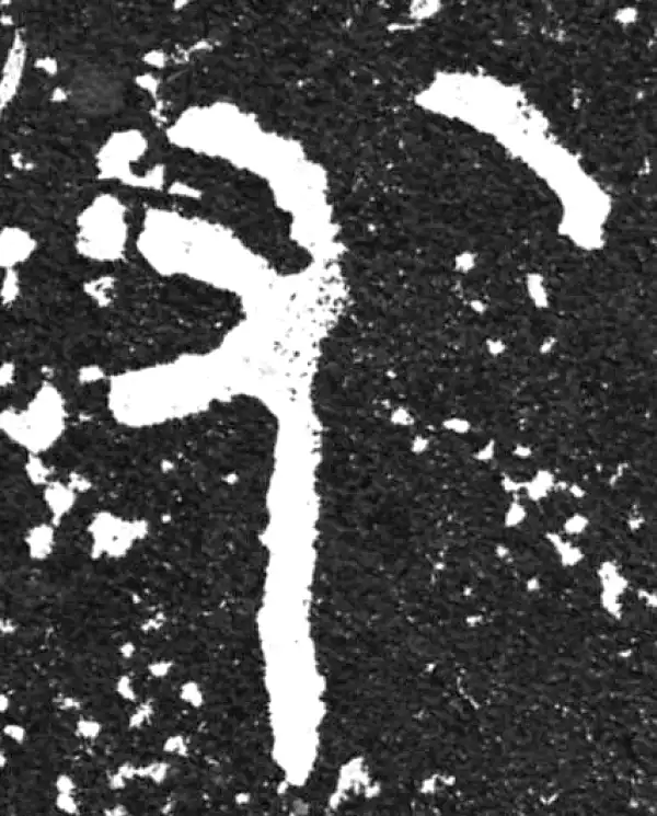 金文·毛公鼎铭文·友