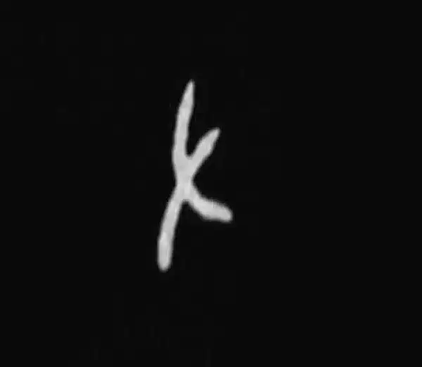 殷墟甲骨文·左