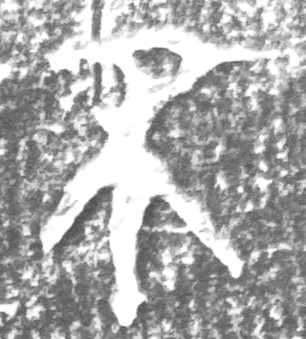 金文·四十二年逑鼎乙·不