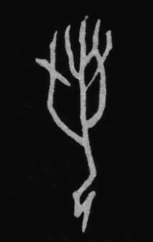 殷墟甲骨文·若