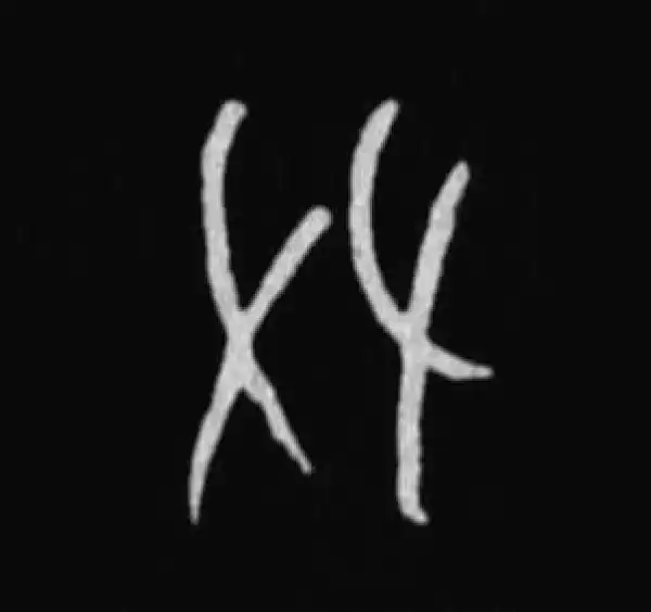 殷墟甲骨文·友