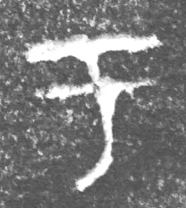 金文·四十三年逨鼎·於