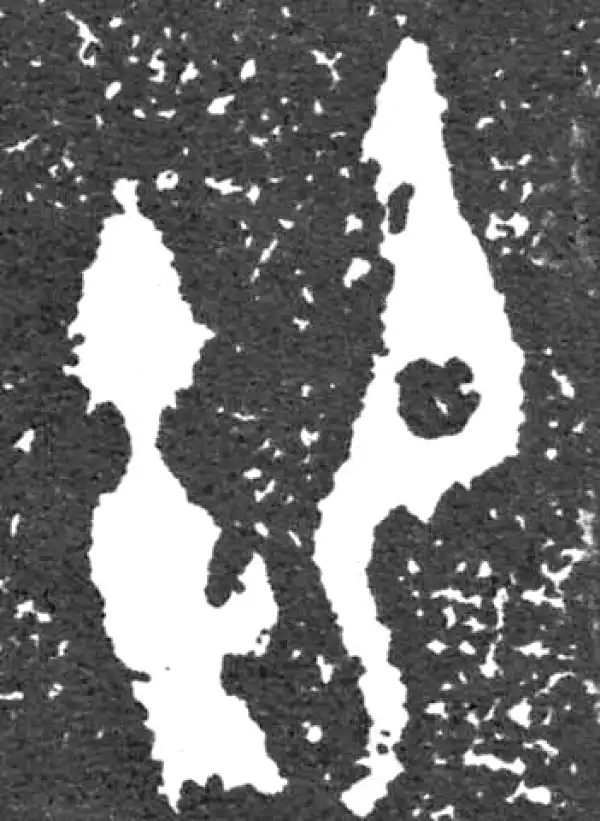 金文·大盂鼎铭文·禦