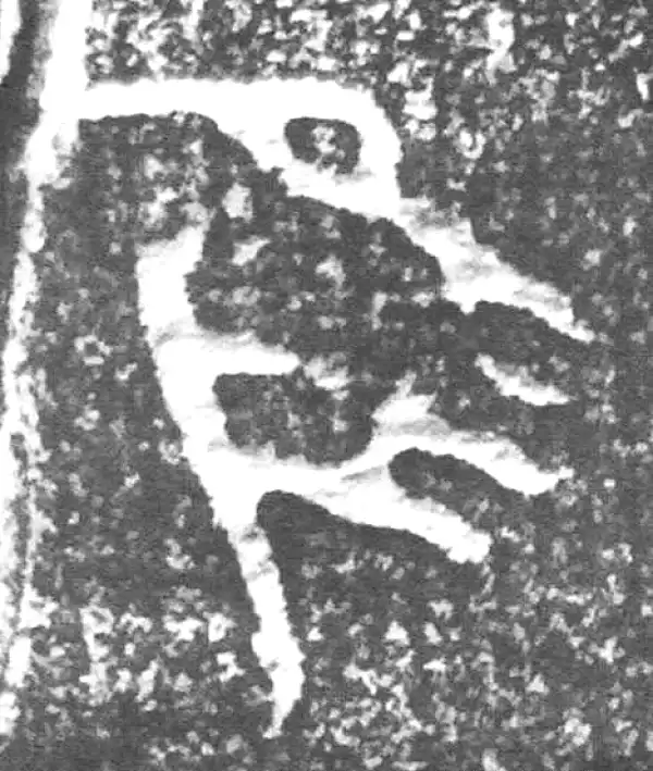 金文·四十二年逑鼎乙·唯