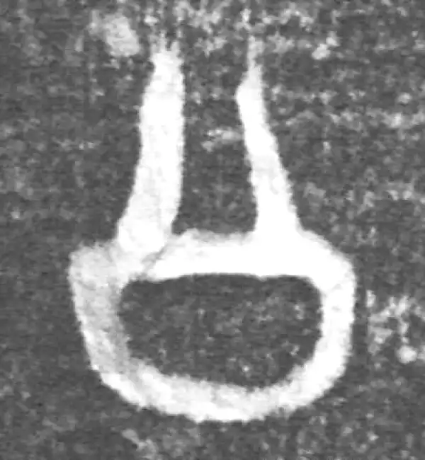 金文·(冬戈)方鼎甲·公