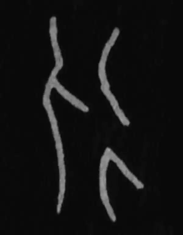 殷墟甲骨文·永