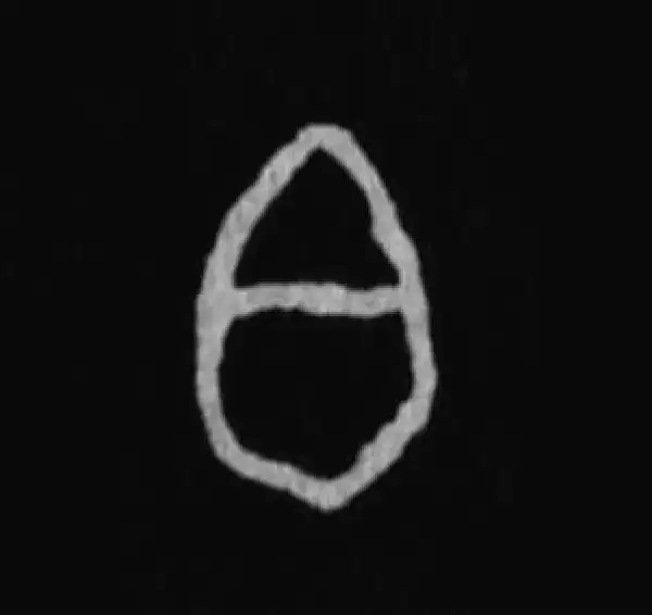 殷墟甲骨文·白