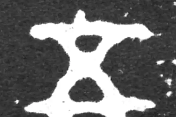 金文·虢季子白盘铭文·五