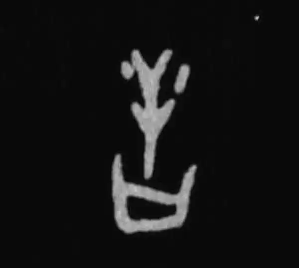 殷墟甲骨文·告