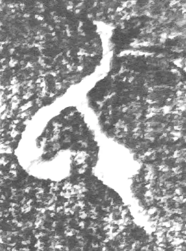 金文·四十二年逑鼎乙·氏