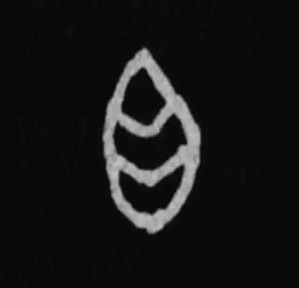 殷墟甲骨文·白