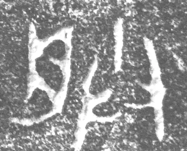 金文·四十三年逨鼎·朕