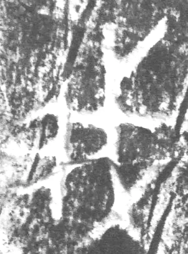 金文·朕匜器·我