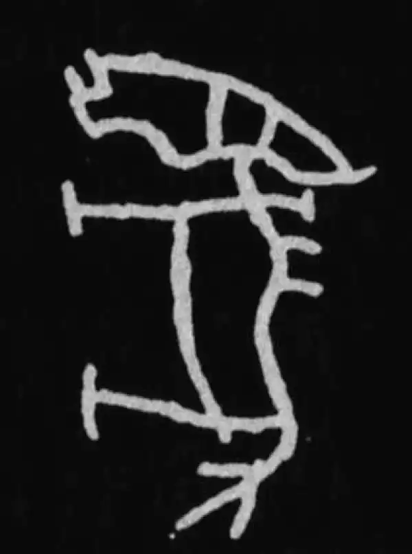 殷墟甲骨文·马