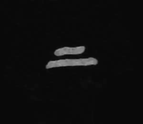 殷墟甲骨文·上