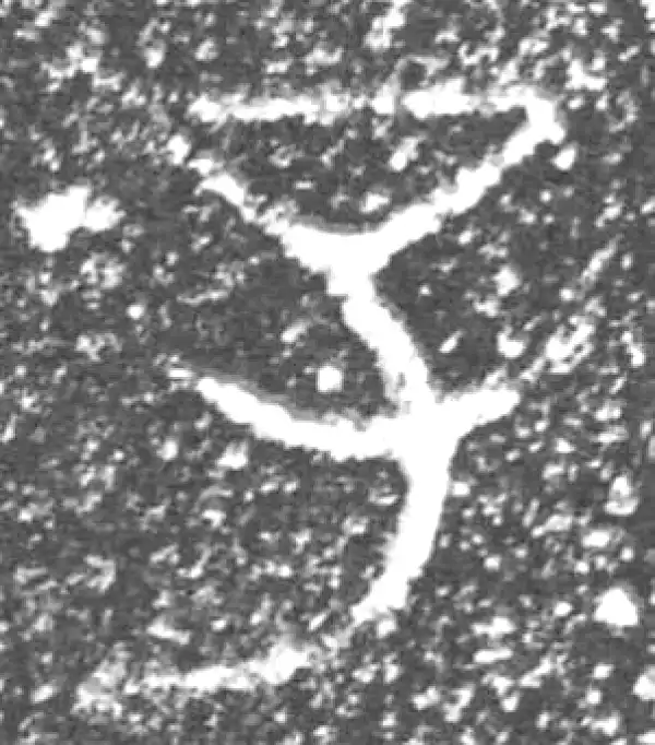 金文·泰公镈甲·子