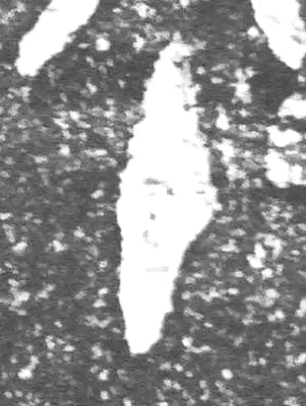 金文·裘卫盉·十