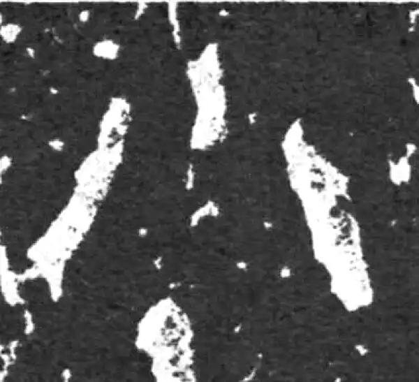 金文·毛公鼎铭文·小