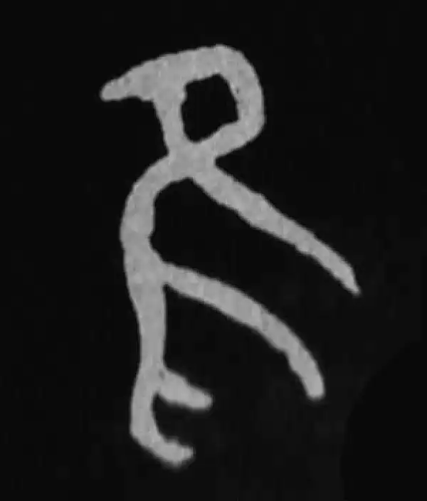 殷墟甲骨文·隹