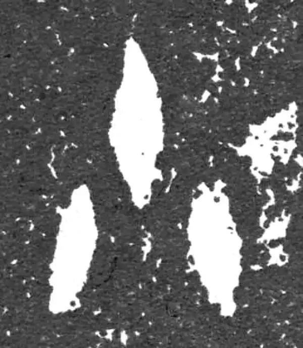 金文·大盂鼎铭文·小