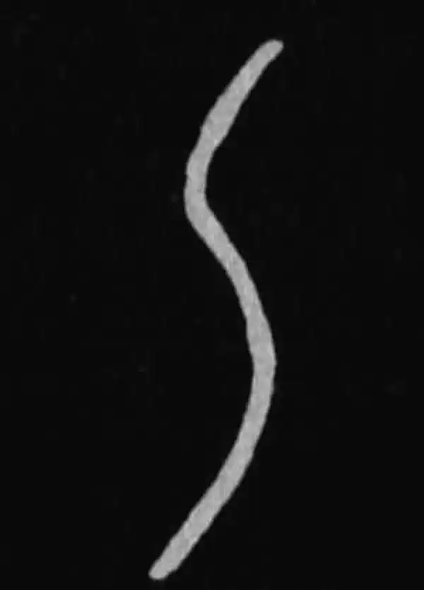 殷墟甲骨文·乙