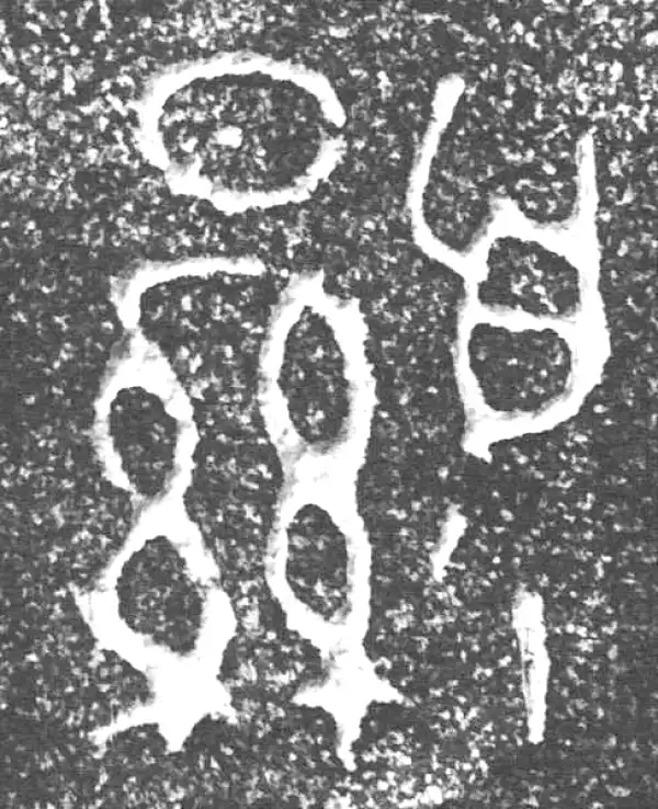 金文·四十三年逨鼎·显