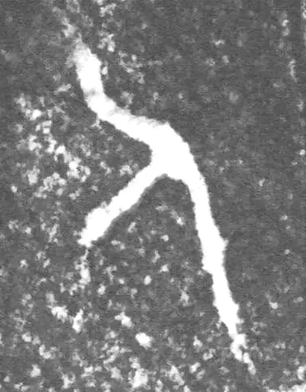 金文·四十二年逑鼎乙·人